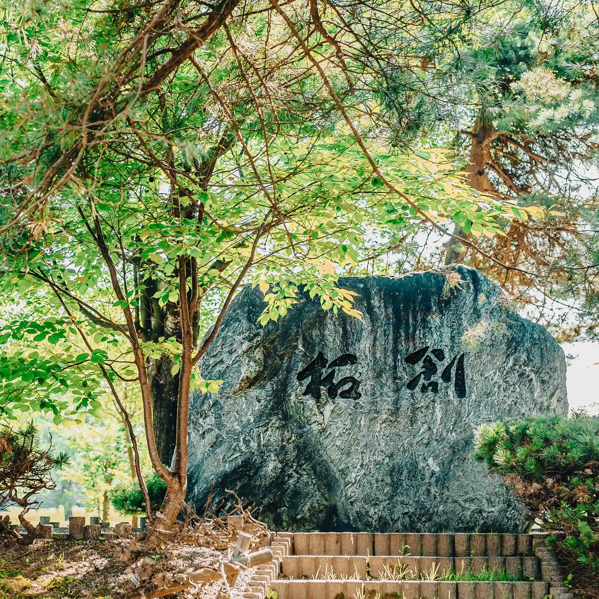 og_public-works-cases01-1